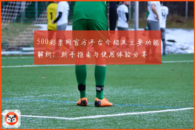 500彩票网官方平台介绍及主要功能解析：新手指南与使用体验分享